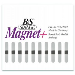 BS Spange barrette...
