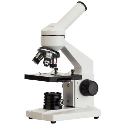 Microscopio composto...